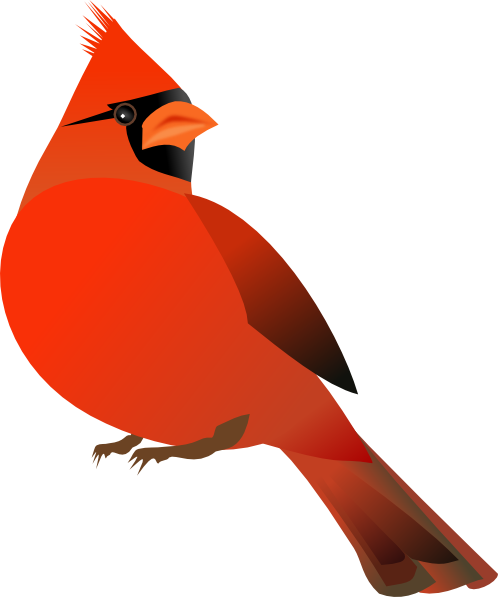 Red Cardinal Kid Hd Image Clipart