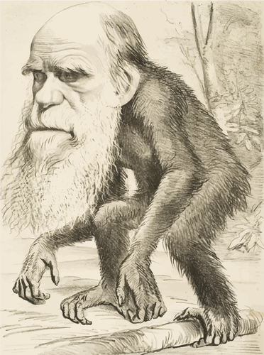 Charles Darwin Ape Clipart