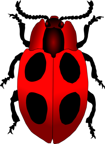 Of A Cartoon Ladybug Inscet Clipart