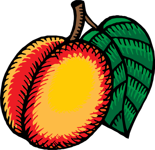 Nectarine Clipart