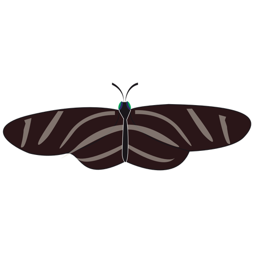 Of Zebra Butterfly Clipart