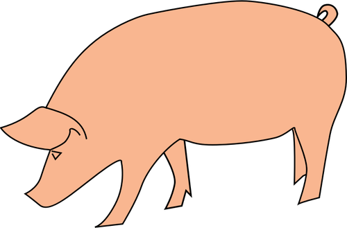 Pig Foraging Clipart