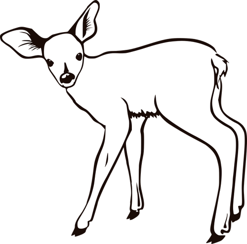 Fawn Outline Clipart