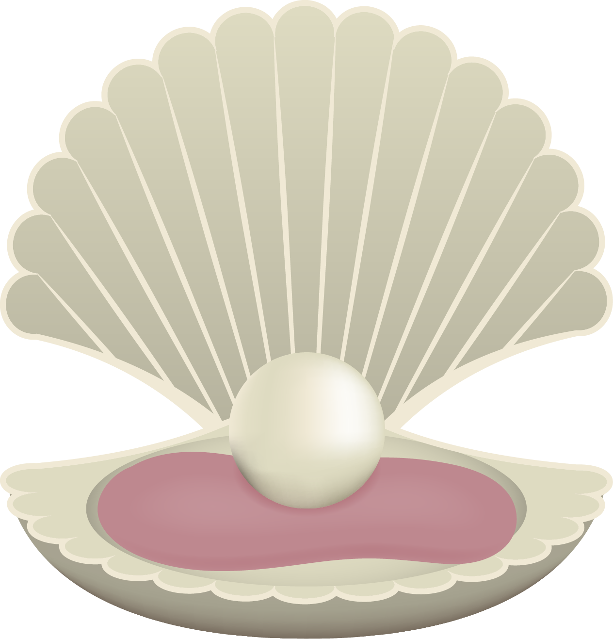 Pearl Great Shell Cartoon Drawing Free Transparent Image HD Clipart
