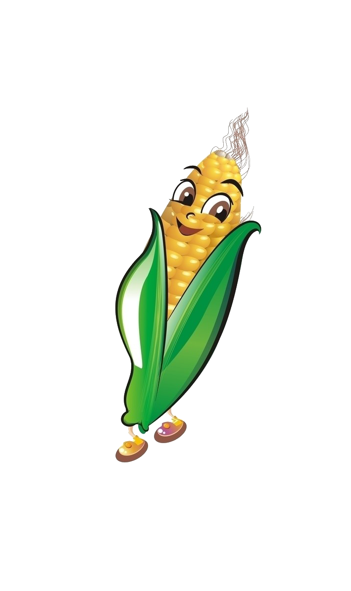 Maize Corn Cartoon Free HD Image Clipart