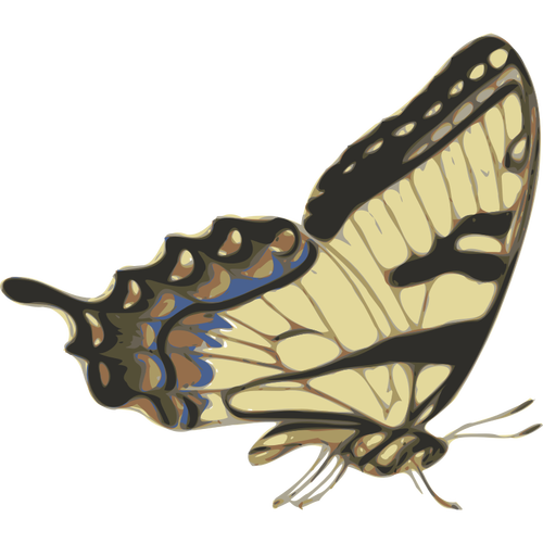 Side View Of Brown Butterfly Clipart
