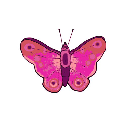 Of Pink And Purple Butterfly Clipart