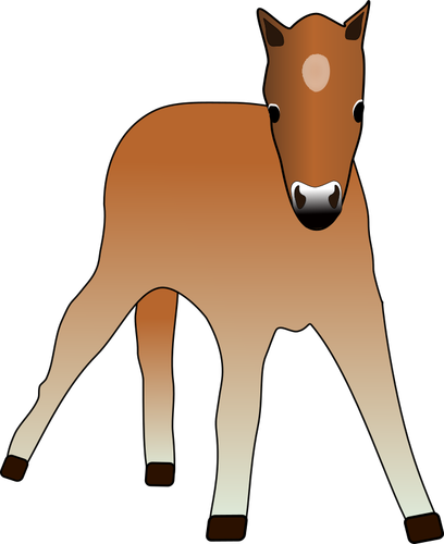 Of Young Foal Clipart