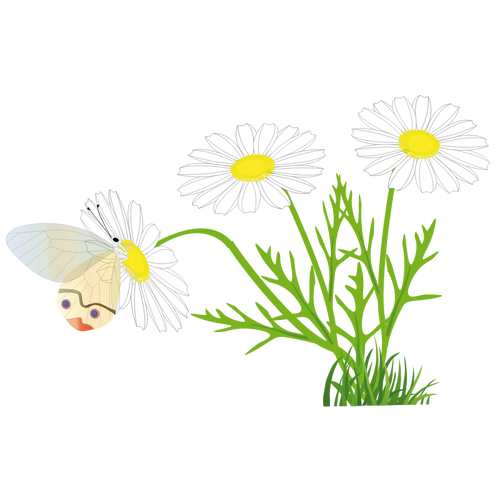 Butterfly On A Daisy Clipart