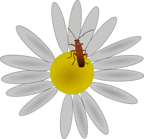 Bug On A Flower Clipart