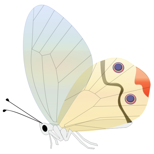 Comic Butterfly Clipart