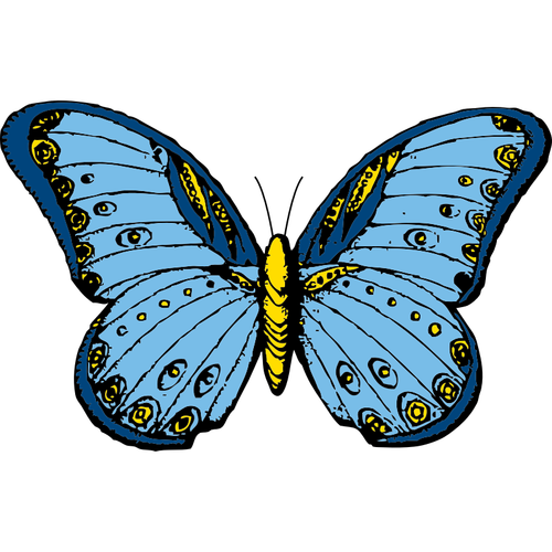 Blue And Yellow Butterfly Clipart