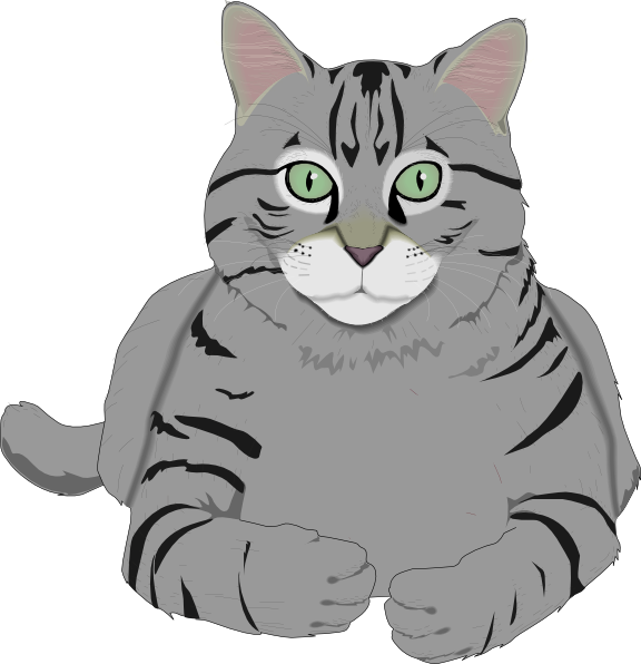 Cat Pictures Images Hd Image Clipart