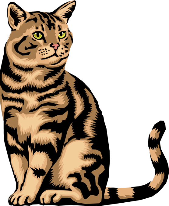 Cat Png Image Clipart