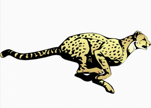 Fast Cheetah Transparent Image Clipart