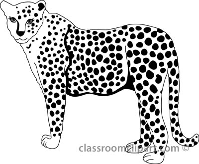 Free Cheetah Pictures Graphics Illustrations Png Image Clipart