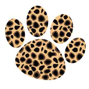 Cheetah Paws Kid Download Png Clipart