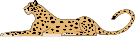 Baby Cheetah Images Free Download Clipart