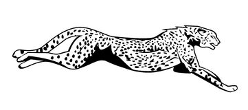 Cheetah Tattoo Illustration 5 Megapixl Hd Image Clipart
