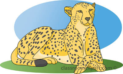Cheetah Cheetah A Hd Photos Clipart