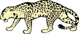 New Cheetah Search For For Png Images Clipart