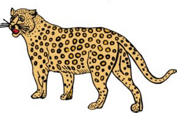 Cheetah Images Image Png Clipart