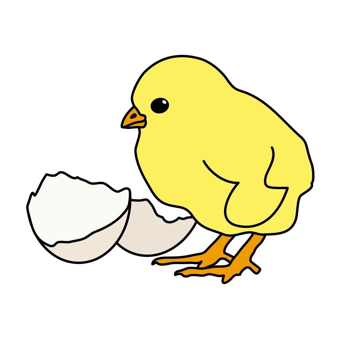 Chick Lpsk Png Images Clipart