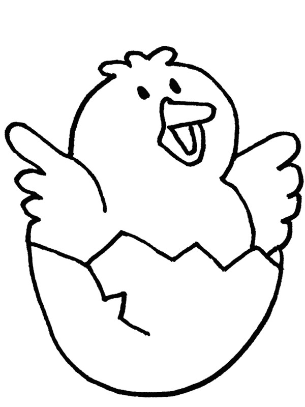 Baby Chick Hostted Png Image Clipart