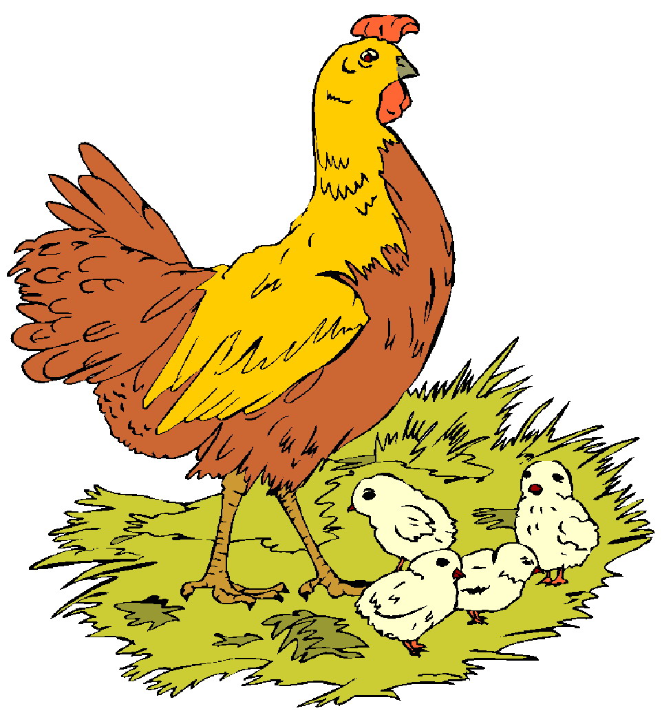 Baby Chick Png Images Clipart