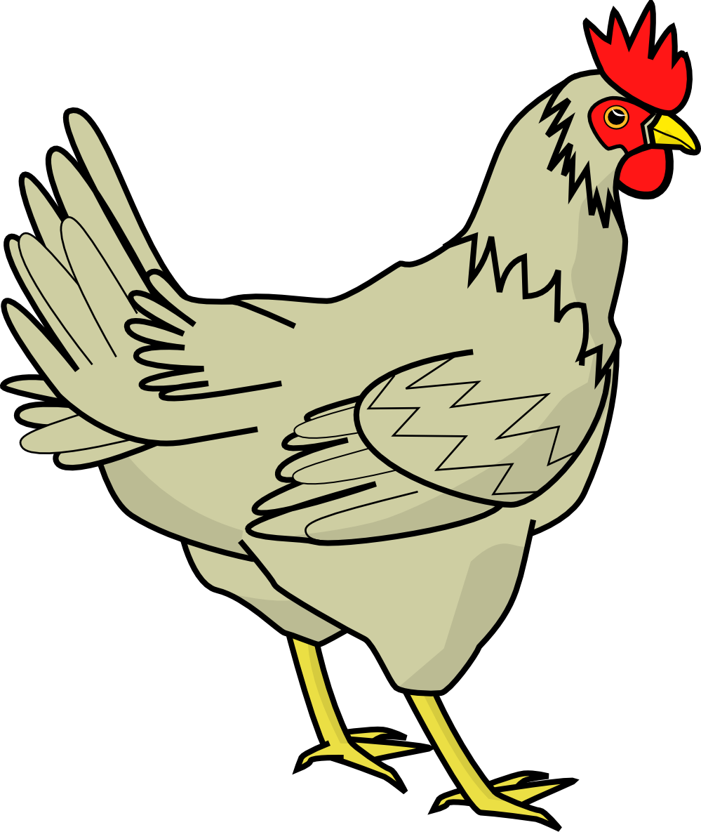 Chicken Grey Chick Png Images Clipart