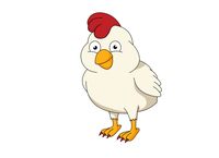 Free Chicken Pictures Graphics Illustrations Png Image Clipart