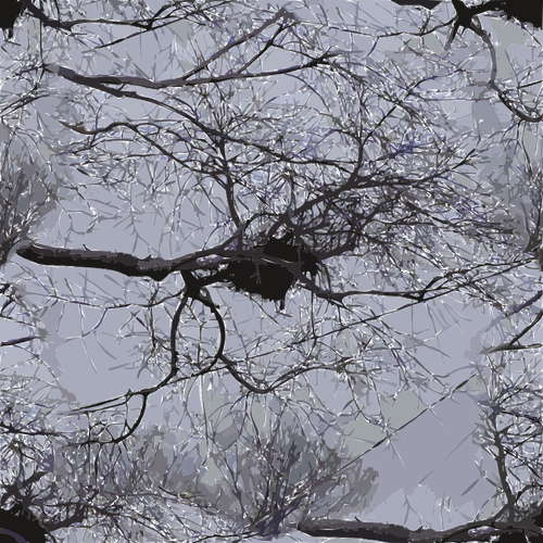 Image Of Bird Nest On Tree Branches With Power Lines Above Clipart