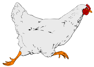 Chicken To Use Image Png Clipart