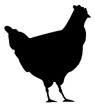 Chicken Black And White Images Hd Image Clipart