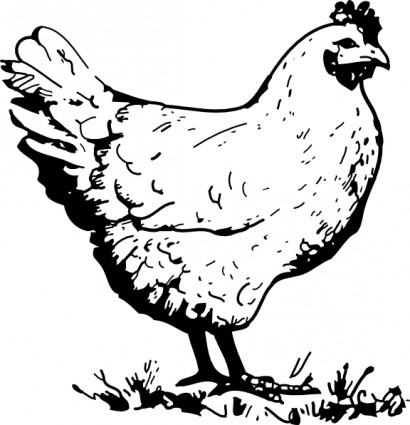 Chicken Vector For Download About Hd Photo Clipart
