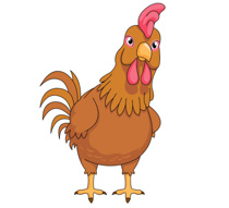 Free Chicken Pictures Graphics Illustrations Image Png Clipart