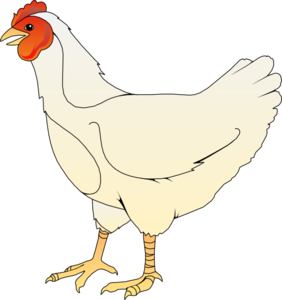 Free Chicken Pictures Graphics Illustrations Transparent Image Clipart