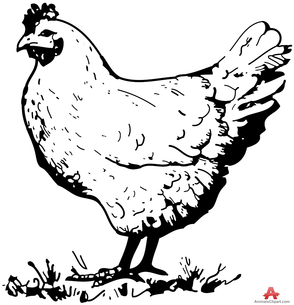 Chicken In The Farm Design Download Clipart