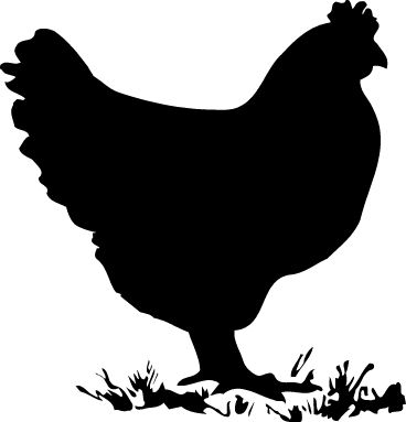 Chicken Hen Roosters Silhouette Silhouette And Chicken Clipart