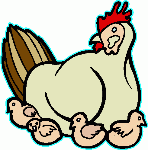 Chicken For You Png Image Clipart