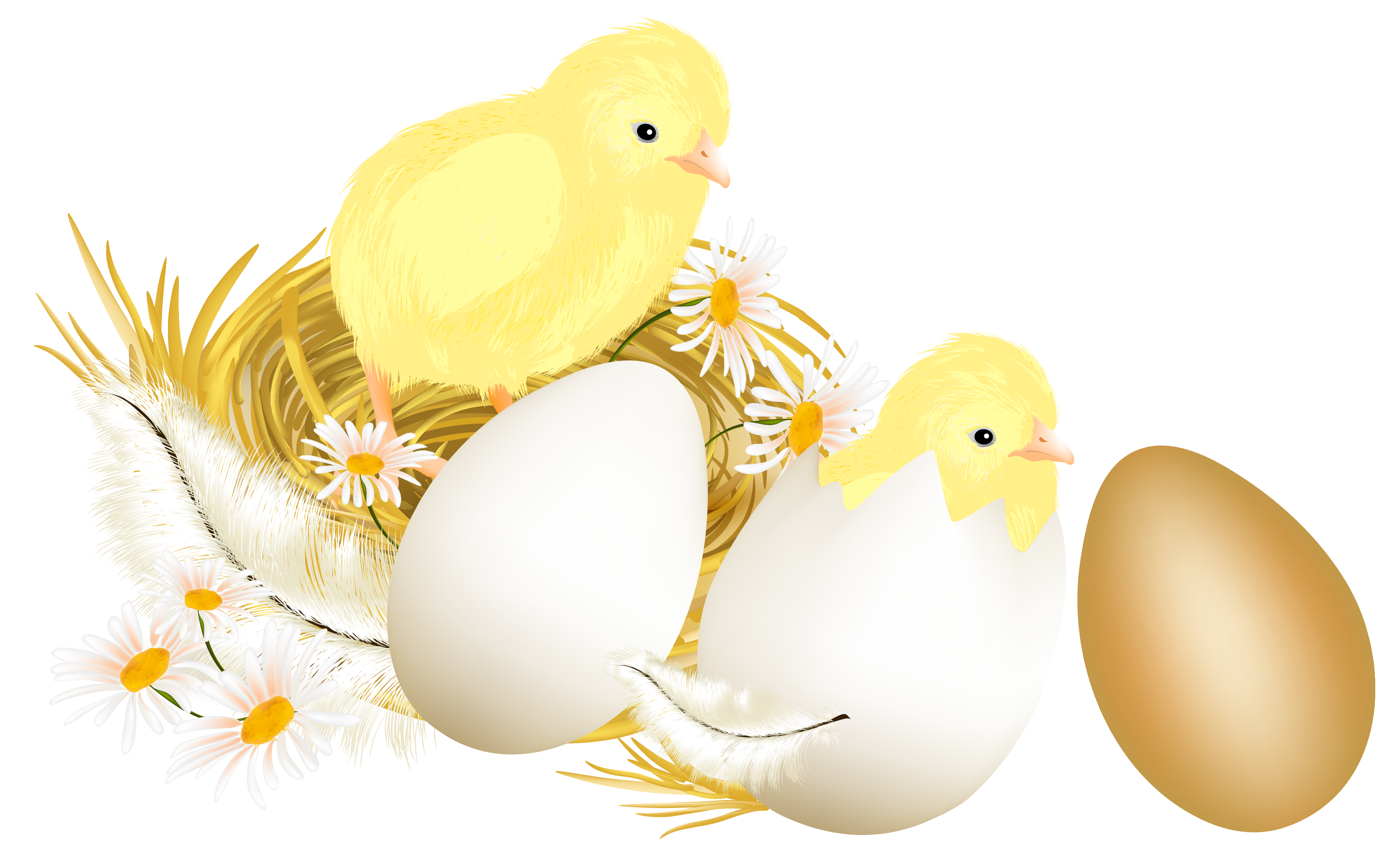 And Picture Egg Eggs Chickens Illustration Chicken Clipart