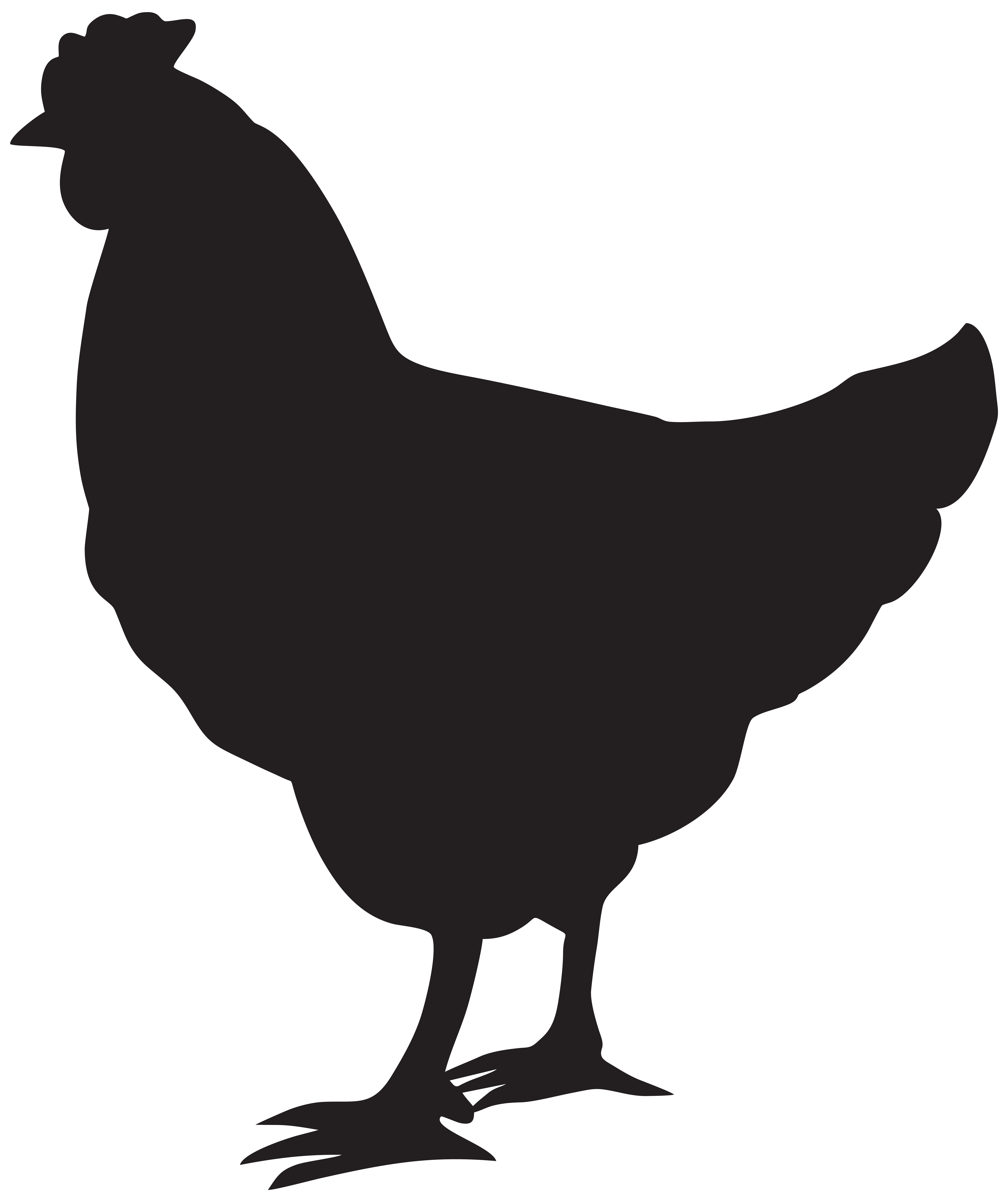 Chicken Silhouette Hen Rooster Free Clipart HD Clipart
