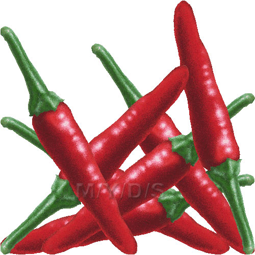 Chili Pepper Image Clipart Clipart