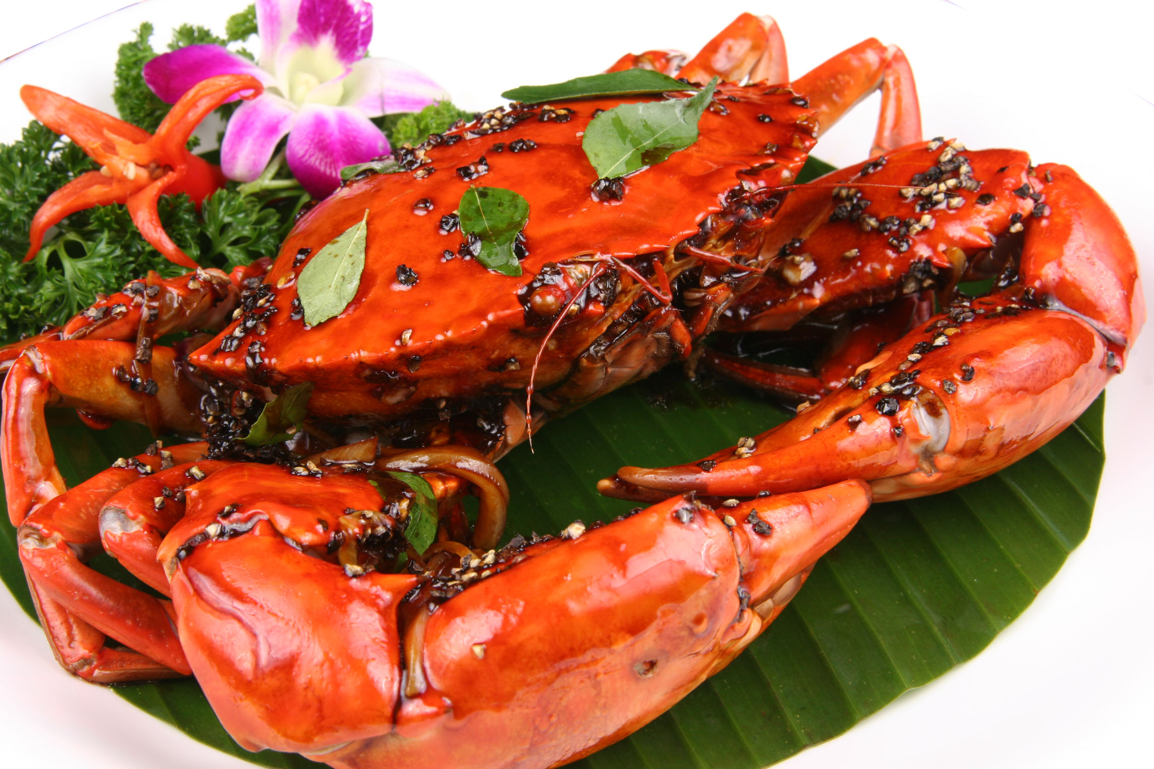 Chilli Pepper Singaporean Cuisine Big What Crab! Clipart