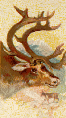 Reindeer Image Clipart