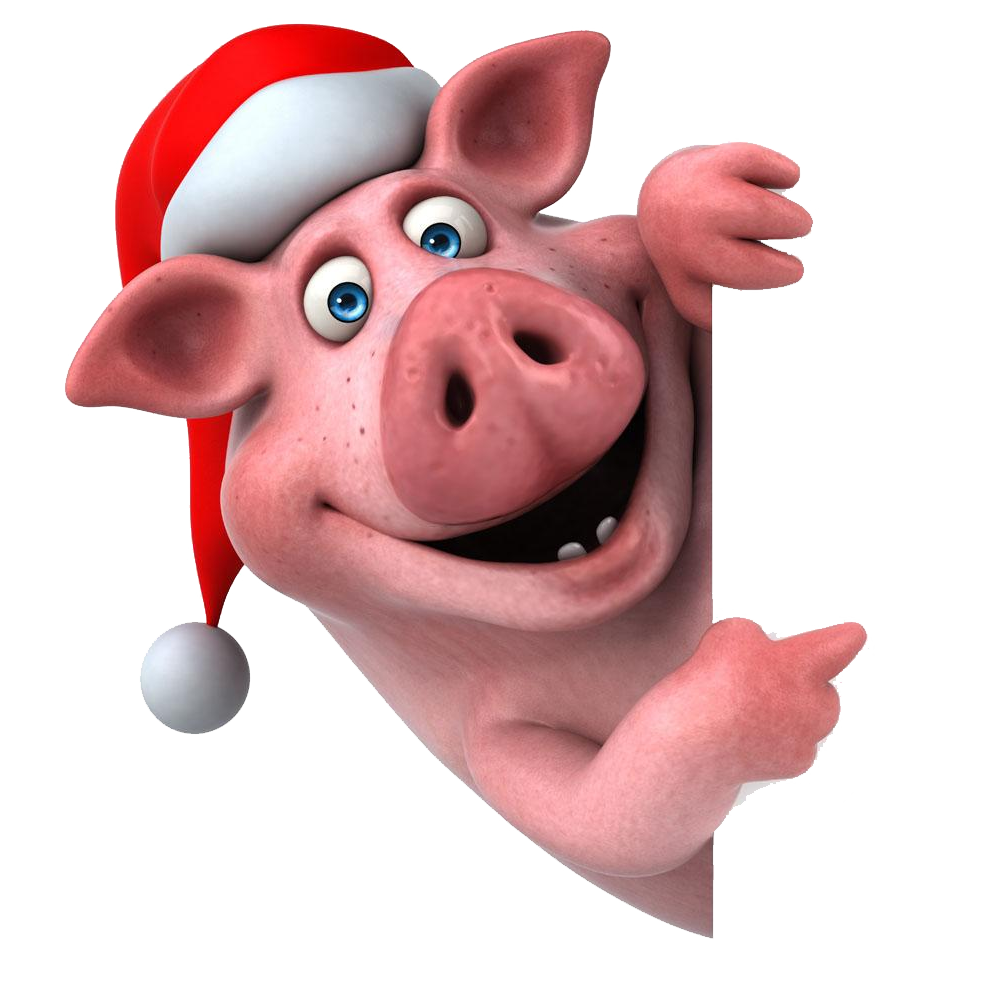 Hat Photography Claus Domestic Illustration Pig Santa Clipart