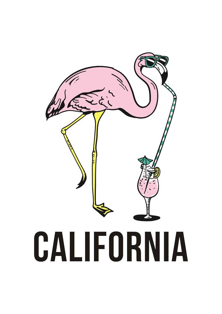 Pink Flamingo T-Shirt Aliexpress Hoodie Clothing Clipart