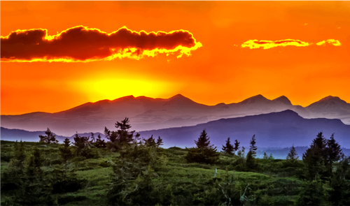 Sunset Over Forest Clipart