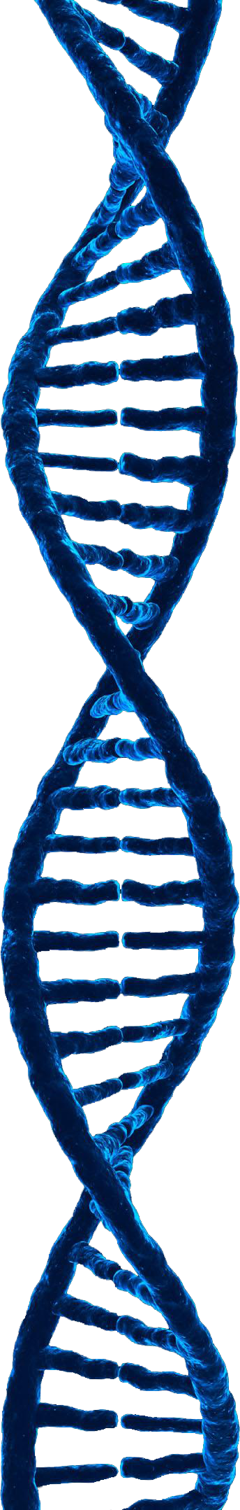 Pull Dna To Material Rendering Computer Graphics Clipart