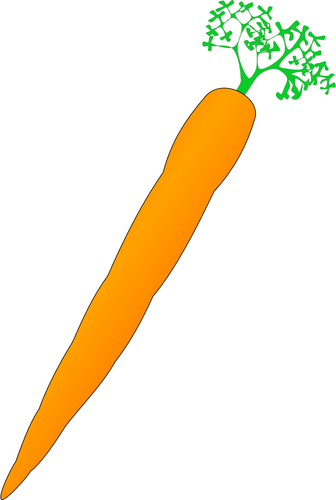 Of Orange Carrot Clipart